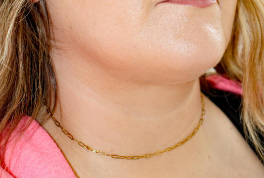 Stainless Steel Paperclip Chain Necklace