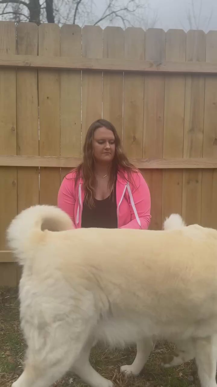 Load video: 